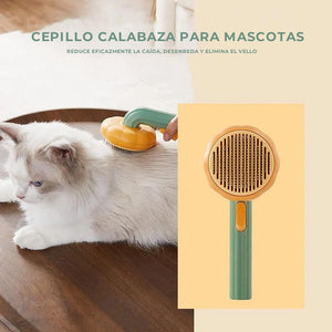 Cepillo para peinar calabaza para mascotas