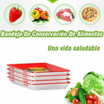 Cargar imagen en el visor de la galería, Bandeja Creativa de Conservación de Alimentos
