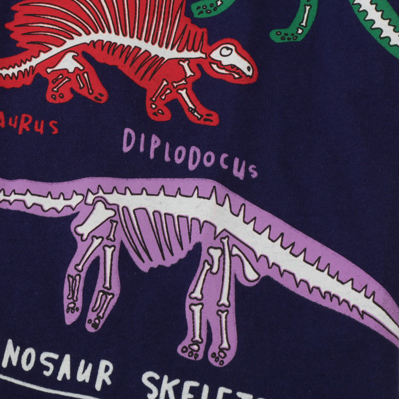 Camiseta Dinosaurio Luminoso