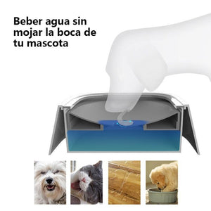 Cuenco de agua para mascotas sin derrames