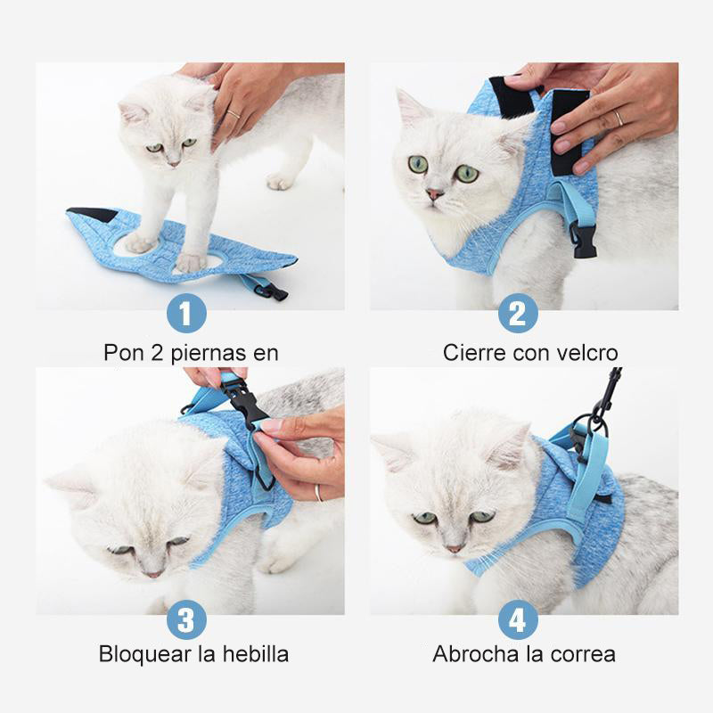 Arnés y correa del chaleco para gatos